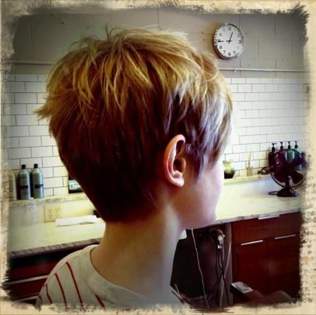 back-view-of-short-pixie-haircuts-69_14 Hátsó nézet a rövid pixie hajvágásokról