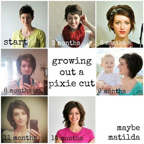 growing-out-a-pixie-cut-pictures-90_3 Kinő egy pixie vágott képek