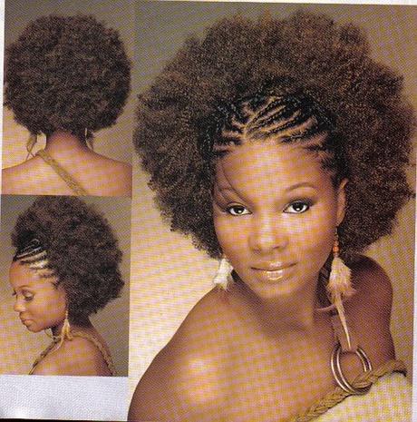 afro-hairstyles-with-braids-73_20 Afro frizurák zsinórral